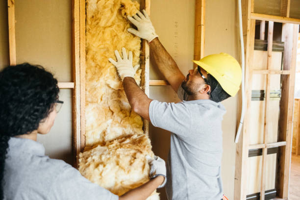 Best Spray Foam Insulation  in Richmond, TX